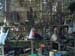 IMAG0431
